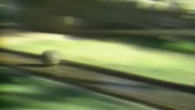 Video thumbnail for Bob Uecker introduces Kegal Kugal for Episode 16 of The Wacky World of Sports