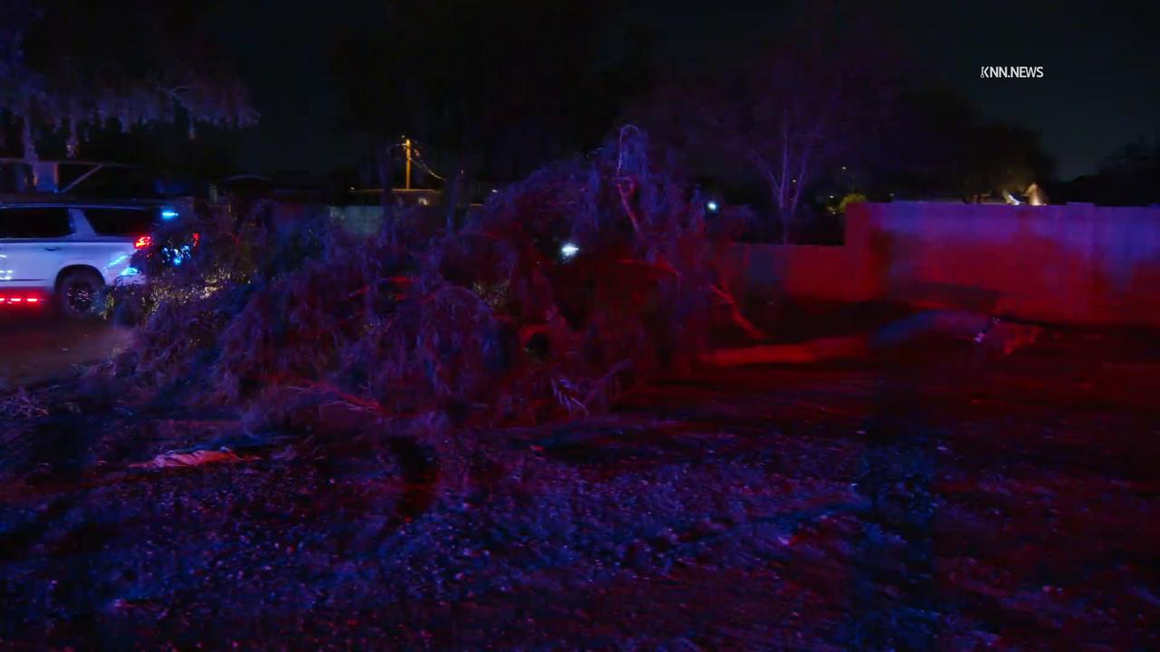 Video thumbnail for US, Phoenix: Phoenix Suspect Crashes Into Tree After Fleeing From Police.