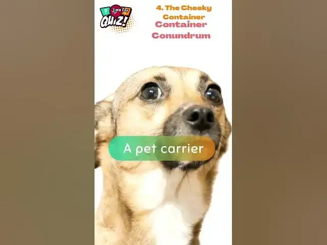 Video thumbnail for 🔥 25 Cheeky Riddles That'll Tickle Your Funny Bone! 😜 | Can You Handle the Wit? 4