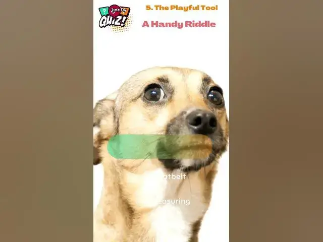 Video thumbnail for 🔥 25 Cheeky Riddles That'll Tickle Your Funny Bone! 😜 | Can You Handle the Wit? 5