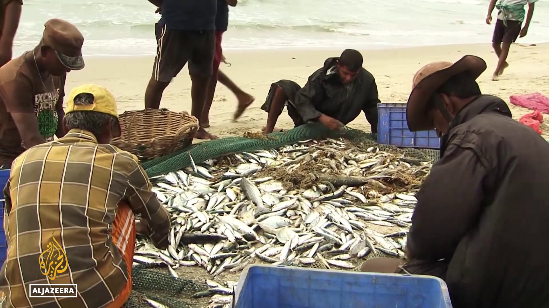 Video thumbnail for Sri Lanka fishing concerns: Authorities investigate impact of mechanised methods