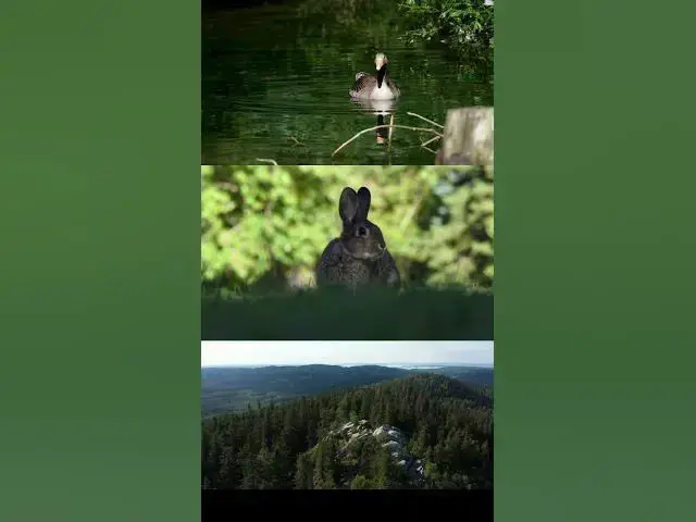 Video thumbnail for Nature Recapped #science #space #ai #physics #astronomy #biology #chemistry #discoveries