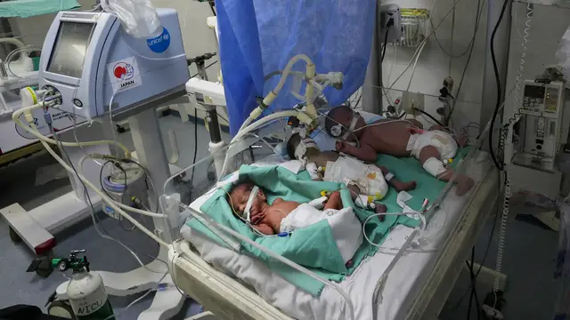 'Video thumbnail for Newborns share incubator at Gaza hospital overwhelmed by famine'