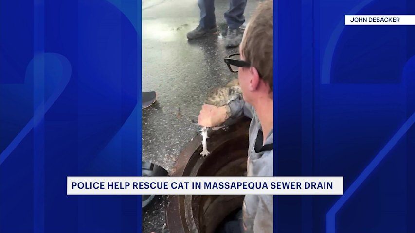 Video thumbnail for Kitten saved from sewer drain in Massapequa