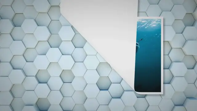 Video thumbnail for Leopard Shark vs Tiger Shark: A Comparative Study