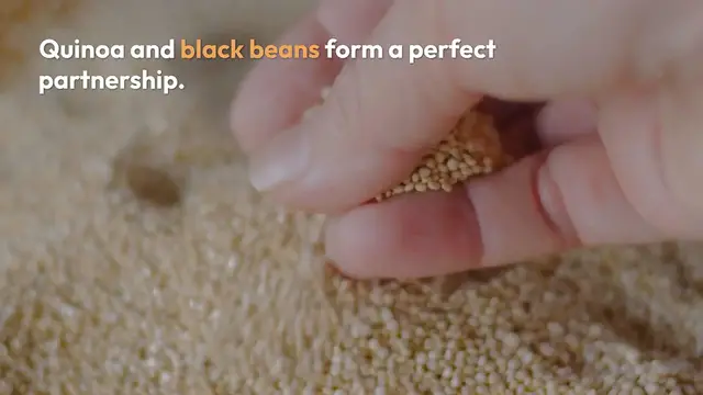 Video thumbnail for Quinoa and Black Bean Benefits