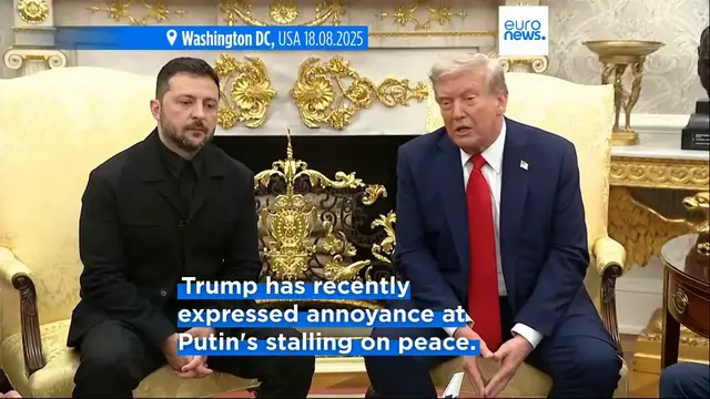 'Video thumbnail for Zelenskyy seeks talks with Trump and European leaders to discuss slow progress of peace efforts'