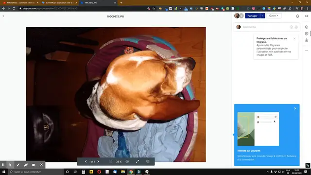 Video thumbnail for Comment faire pivoter une image pour la remettre dans le bon sens avec iLoveIMG