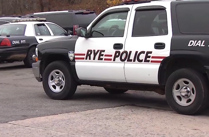 Video thumbnail for Police across Westchester County see an increase in vehicle thefts