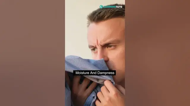 Video thumbnail for Why Do Closets Smell? | #shorts