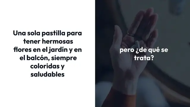 'Video thumbnail for Esta píldora explotará muchas flores tanto en el jardín como en el balcón'