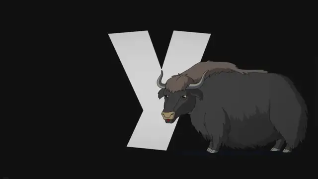'Video thumbnail for Animal en Y : Les animaux commençant par la lettre Y'