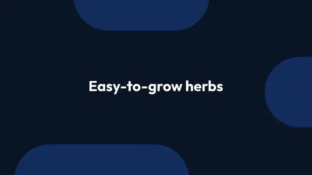 Video thumbnail for Easy Herbs for Beginners