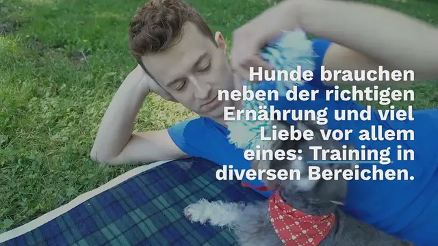 Video thumbnail for Deckentraining Hund – Tipps & Schritt-für-Schritt-Anleitung
