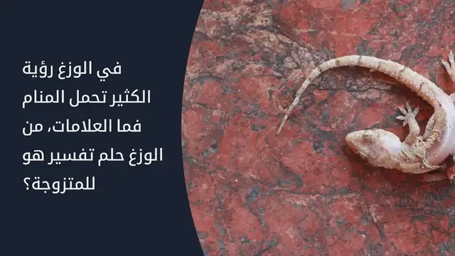 Video thumbnail for تعرفي على تفسير حلم الوزغ في المنام للمتزوجة لابن سيرين.