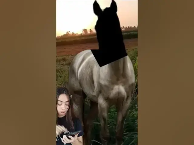 Video thumbnail for Reto imposible #entretenimiento #desafiosmentales #retosvirales