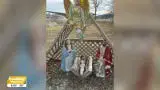 Video thumbnail for Stolen baby Jesus statue returned to Long Island home