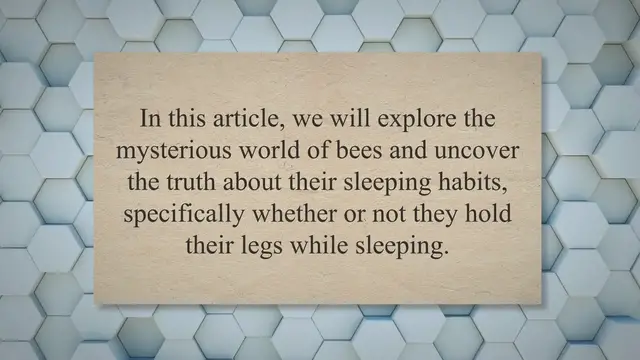 'Video thumbnail for Uncovering the Mystery: Do Bees Sleep Holding Their Legs?'