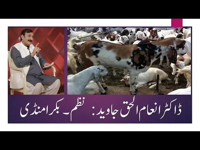 Video thumbnail for Dr. Inam Ul Haq Javeid's Most Famous Poem:Bakra Mandi|Punjab,Punjabi & Punjabiat|Dr. Amjad Bhatti YT