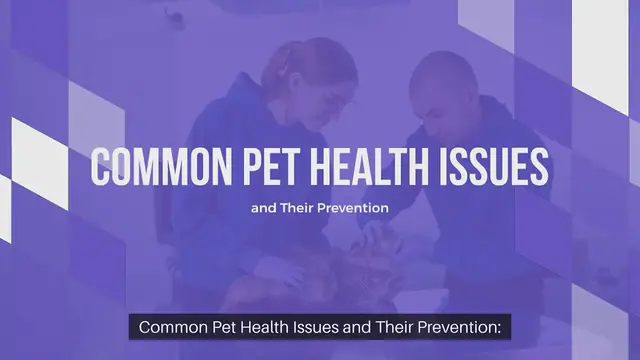 Video thumbnail for Common Pet Health Issues and Their Prevention