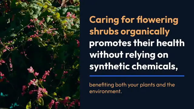 Video thumbnail for Organic Care for Flowering Shrubs