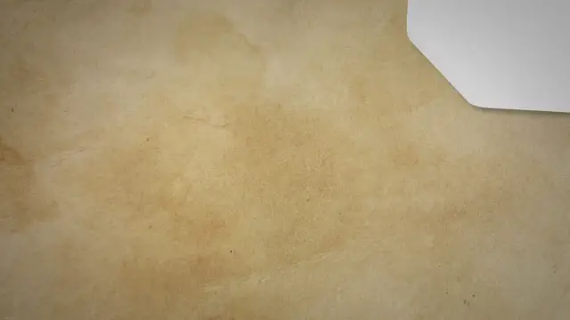 Video thumbnail for Are Tiger Sharks Friendly? Unveiling the Truth