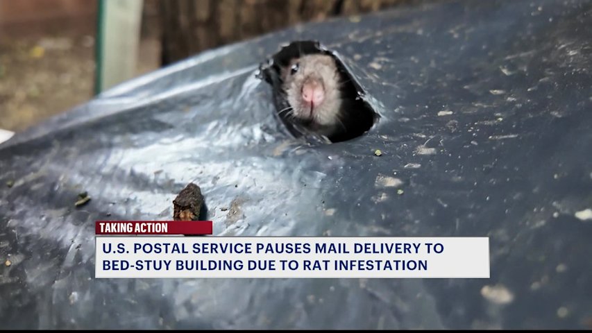 Video thumbnail for U.S. Postal Service pauses mail delivery to Bed-Stuy apartment building due to rat infestation