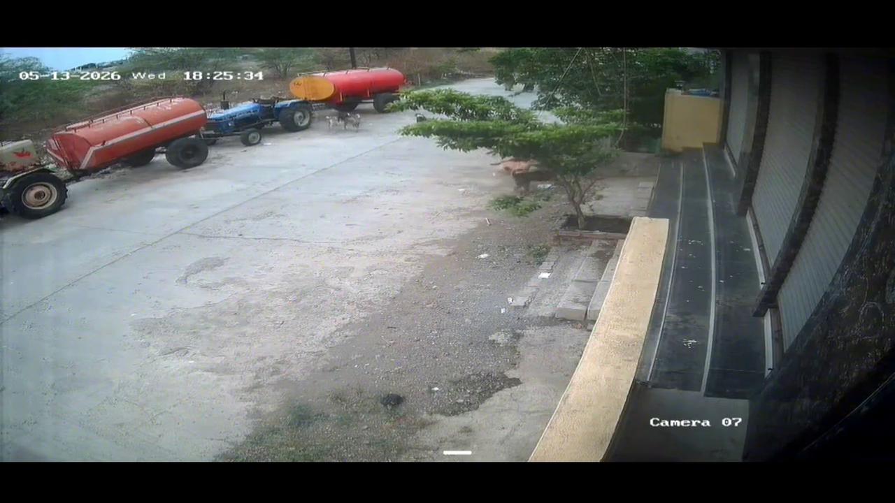 Video thumbnail for India: Pack of 6 Stray Dogs Attacks 4-Year-Old Child.