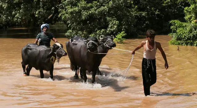 Video thumbnail for Floods in Pakistan’s Punjab devastate farms and drive food prices higher