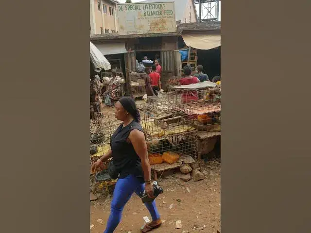 Video thumbnail for Still anambra state chicken