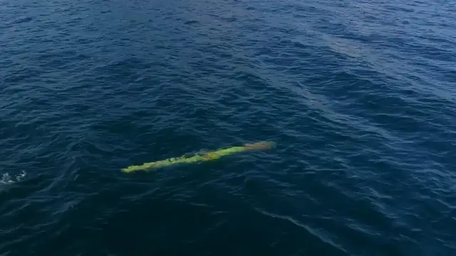 Video thumbnail for Türkiye: Turkish defense giant Aselsan to showcase autonomous underwater vehicle.