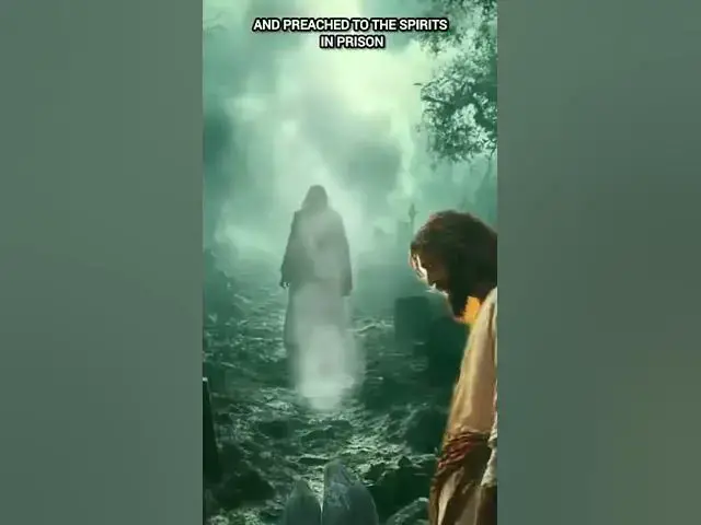 Video thumbnail for What happened when you died #death #heaven #lifeafterdeath #angel #spirit #theafterlife