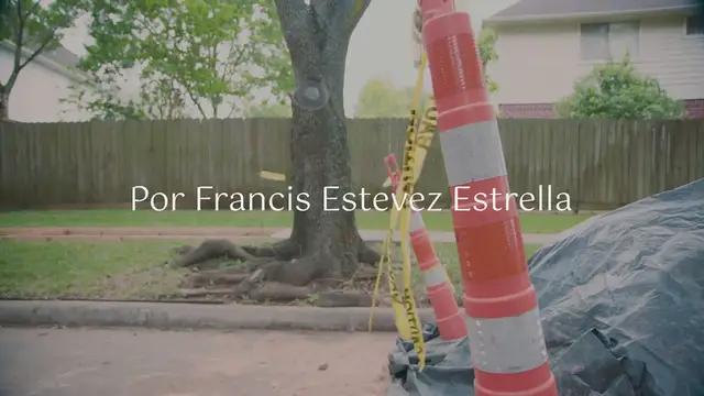 Video thumbnail for ¿Cómo Acelerar la Marcha de República Dominicana hacia una Economía Avanzada? Perspectivas y Políticas: