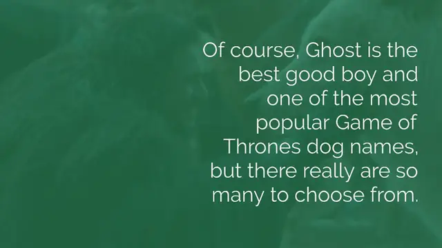 Video thumbnail for 170+ Game of Thrones Dog Names