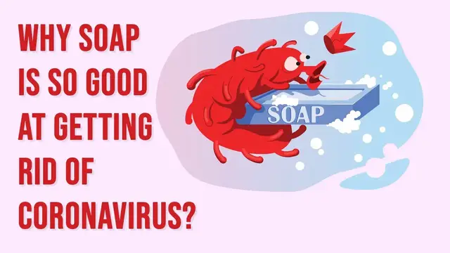 Video thumbnail for Why is Soap Better than Hand Sanitizer at Getting Rid of Coronavirus?