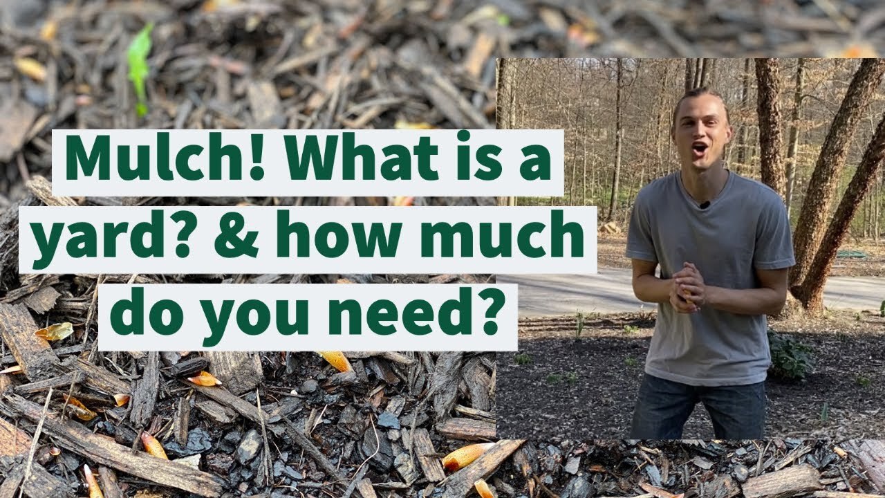 Video thumbnail for Mulch! How much do I need? What is a cubic yard? Determine how much you need this spring #mulch
