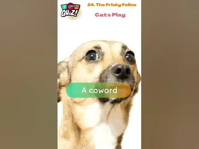 Video thumbnail for 🔥 25 Cheeky Riddles That'll Tickle Your Funny Bone! 😜 | Can You Handle the Wit? 24