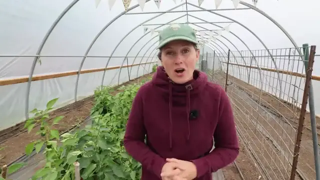 Video thumbnail for Last of the High Tunnel  Freezer Peppers  Canned Lemonade   Jalapeño Poppers(720P HD)