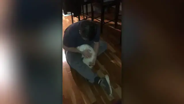 Video thumbnail for Dog Reunited With Doctor Owner Who Has Been Working On Front Lines | Happily TV