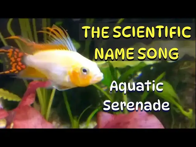 Video thumbnail for The Scientific Name Song (Aquatic Serenade)