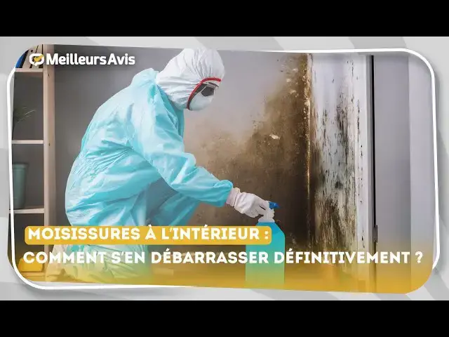 Video thumbnail for Moisissures à l’intérieur : on vous présente l’arme ultime pour s’en débarrasser !