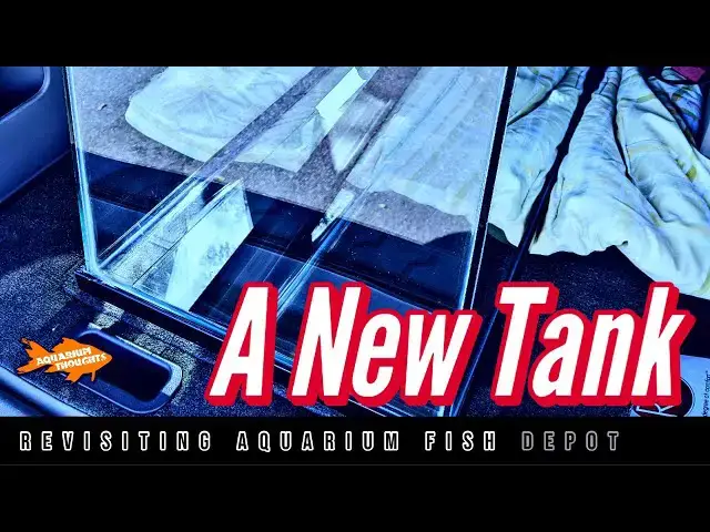Video thumbnail for Fish Store Tour - Revisiting Aquarium Fish Depot to pick up a new tank