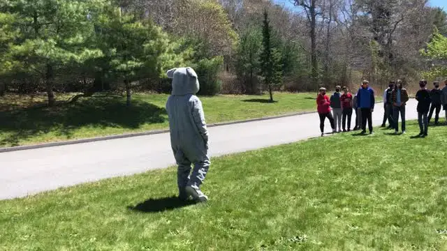 Video thumbnail for Military Dad Dressed As School Mascot Surprises Daughter | Happily TV