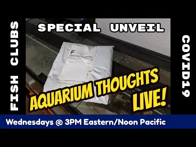 Video thumbnail for General talk about Fish Clubs, Stuff & Special Unveil - Aquarium Thoughts Live! #20-04