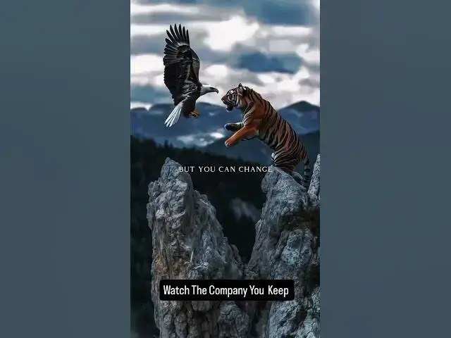 'Video thumbnail for "You can’t change the people around you, so change the people around you. The company you keep'