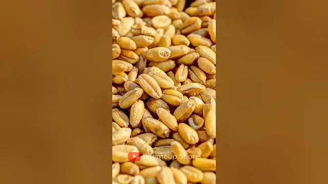 Video thumbnail for 10 Essential Foods That Never Expire #foods #expiry