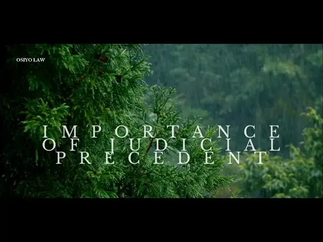 Video thumbnail for The Importance of Judicial Precedent