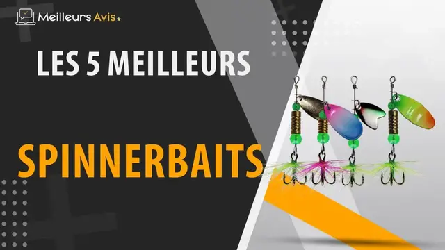 Video thumbnail for ⭐️ MEILLEUR SPINNERBAITS - Comparatif 2023