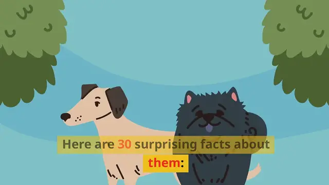 Video thumbnail for 30 Surprising Facts about Dogs