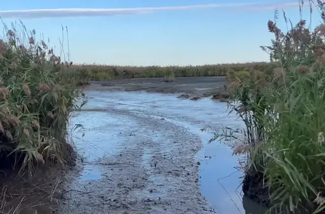 Video thumbnail for Secaucus mayor says 'computer glitch' cause of thousands of gallons of diesel to spill from Secaucus data center